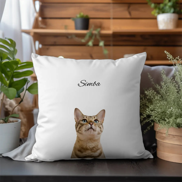 Mockup Kissen