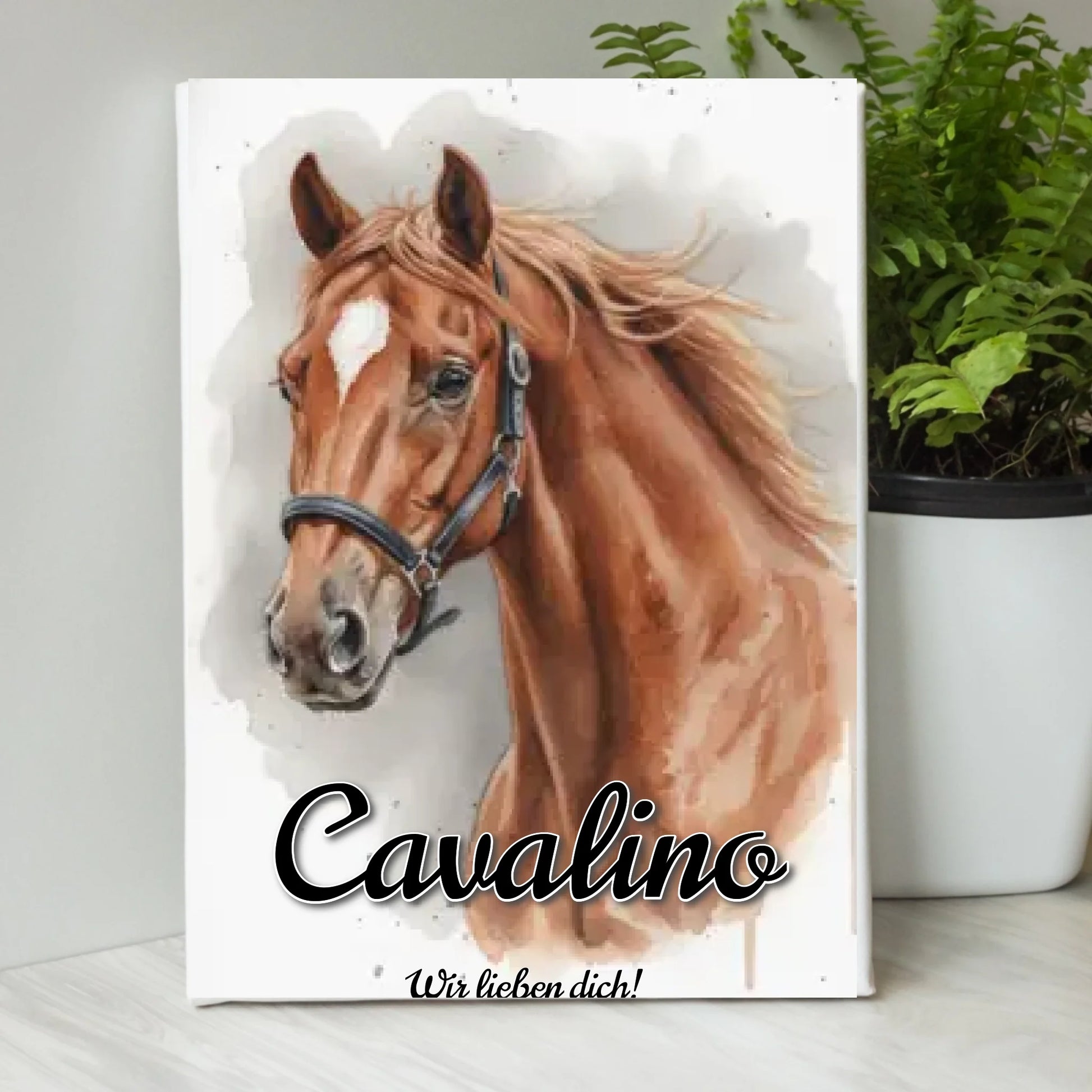 KLAS-30X20-1; KLAS-60X40-1; KLAS-90X60-1; KLAS-120X80-1; DIGI-40X30-1;