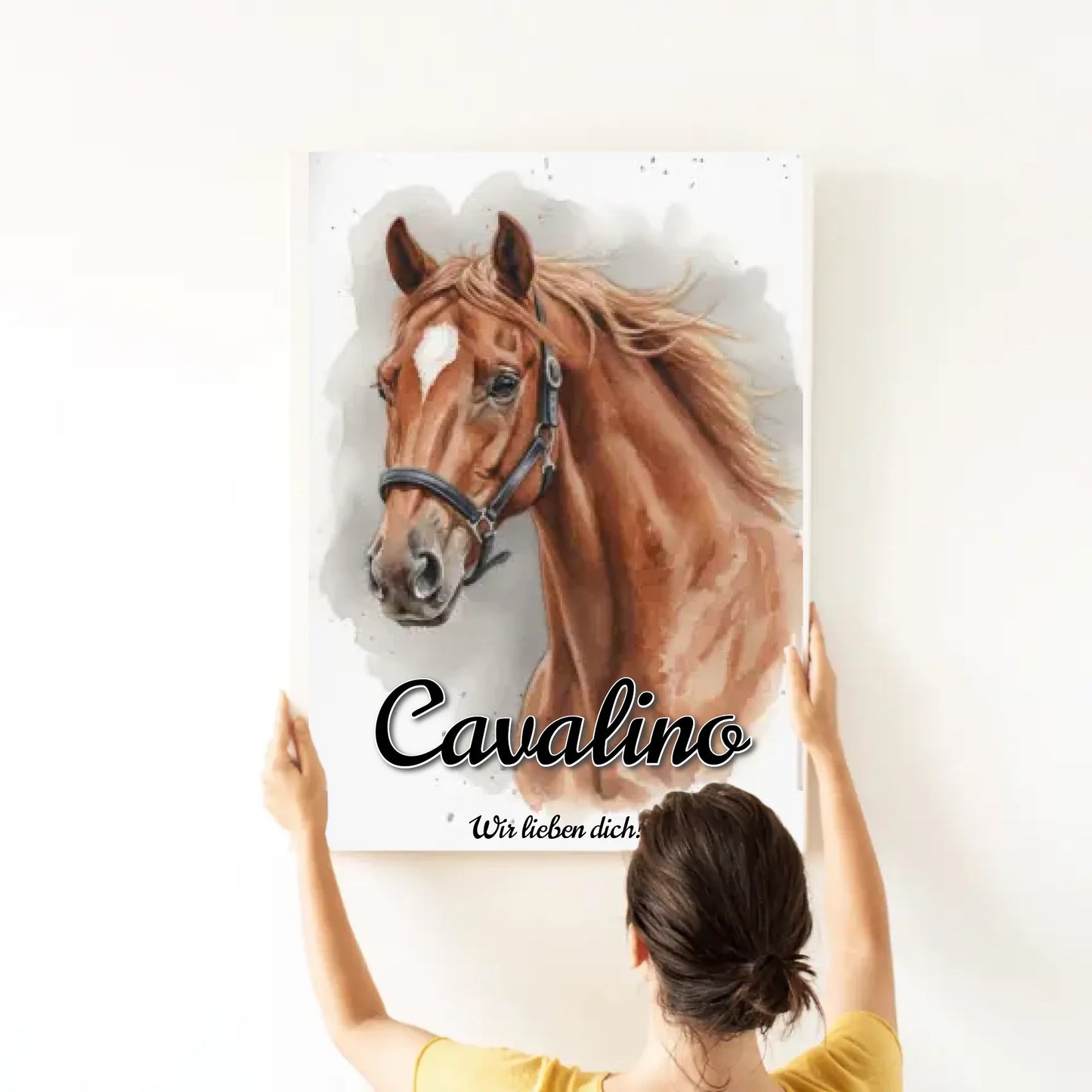 KLAS-30X20-1; KLAS-60X40-1; KLAS-90X60-1; KLAS-120X80-1; DIGI-40X30-1;