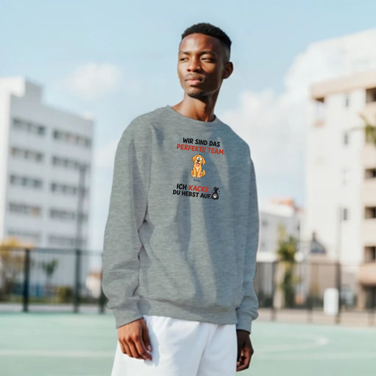 Das perfekte Team – Pullover – ash-mann