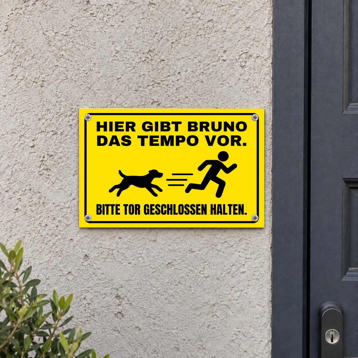 Personalisiertes gelbes Hundeschild mit Namen Bruno, Tempo-Motiv, 30 × 20 cm, an einer Hauswand